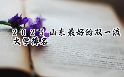 2025山东最好的双一流大学排名