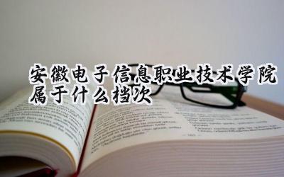 安徽电子信息职业技术学院属于什么档次