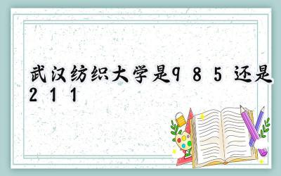 武汉纺织大学是985还是211