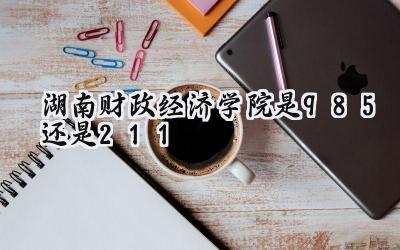 湖南财政经济学院是985还是211