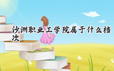 沙洲职业工学院属于什么档次