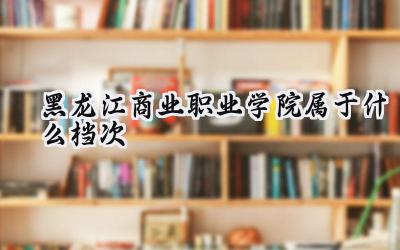 黑龙江商业职业学院属于什么档次