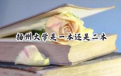 扬州大学是一本还是二本