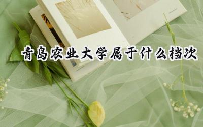 青岛农业大学属于什么档次
