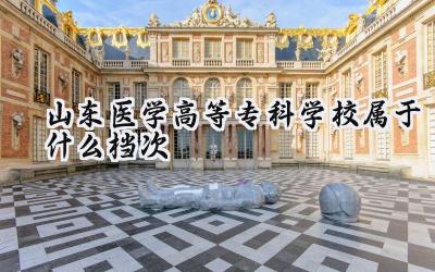 山东医学高等专科学校属于什么档次