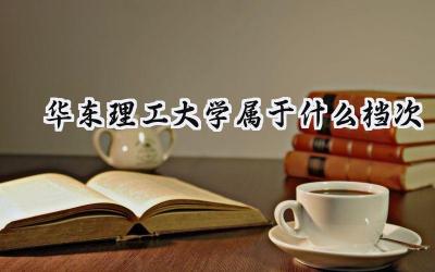 华东理工大学属于什么档次