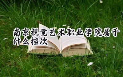 南京视觉艺术职业学院属于什么档次