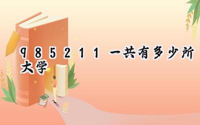 985211一共有多少所大学