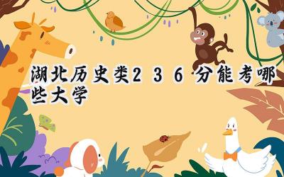 湖北历史类236分能考哪些大学