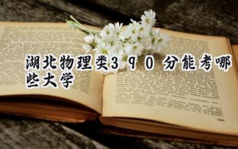 湖北物理类390分能考哪些大学