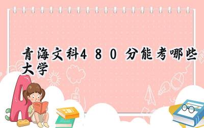 青海文科480分能考哪些大学