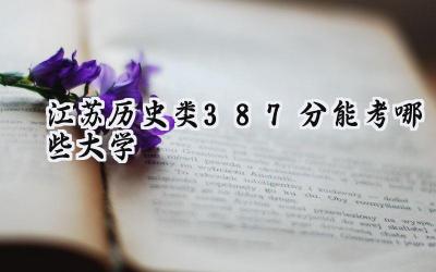 江苏历史类387分能考哪些大学