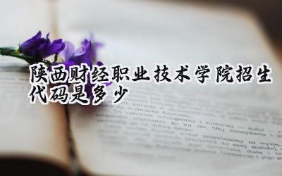 陕西财经职业技术学院招生代码是多少