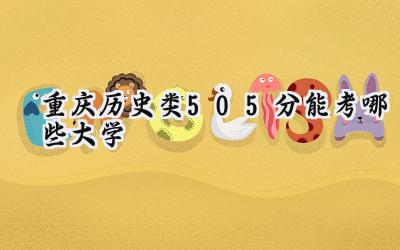 重庆历史类505分能考哪些大学