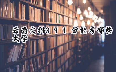 云南文科391分能考哪些大学