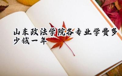 山东政法学院各专业学费多少钱一年