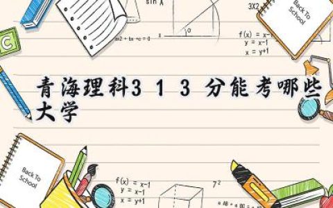 青海理科313分能考哪些大学