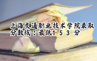 上海交通职业技术学院2024录取分数线：最低153分