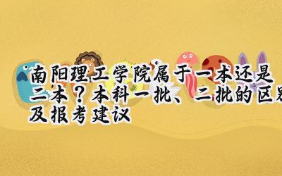 南阳理工学院属于一本还是二本？本科一批、二批的区别及报考建议