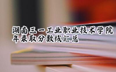 湖南三一工业职业技术学院2024年录取分数线汇总