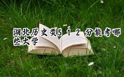 湖北历史类512分能考哪些大学