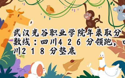 武汉光谷职业学院2024年录取分数线：四川426分领跑，四川218分垫底