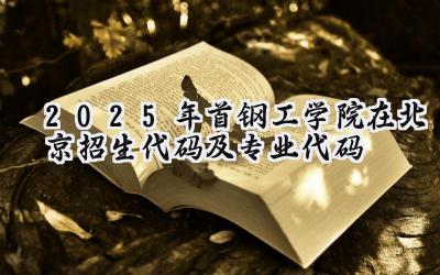 2025年首钢工学院在北京招生代码及专业代码
