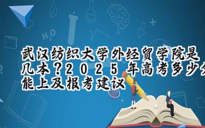 武汉纺织大学外经贸学院是几本？2025年高考多少分能上及报考建议