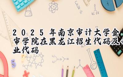 2025年南京审计大学金审学院在黑龙江招生代码及专业代码
