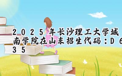 2025年长沙理工大学城南学院在山东招生代码：D635