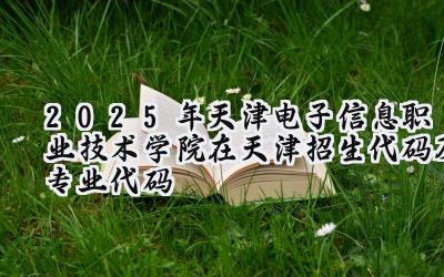 2025年天津电子信息职业技术学院在天津招生代码及专业代码