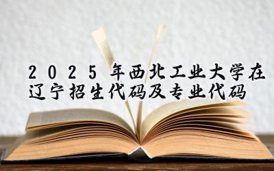2025年西北工业大学在辽宁招生代码及专业代码