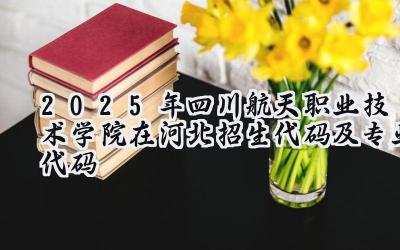 2025年四川航天职业技术学院在河北招生代码及专业代码