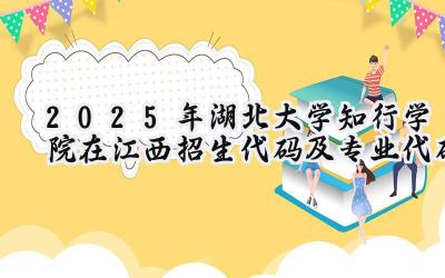 2025年湖北大学知行学院在江西招生代码及专业代码
