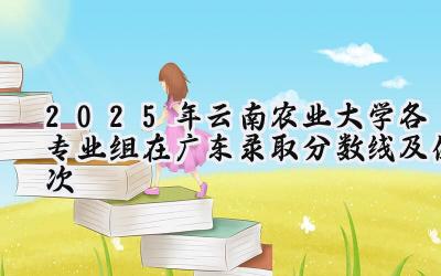 2025年云南农业大学各专业组在广东录取分数线及位次