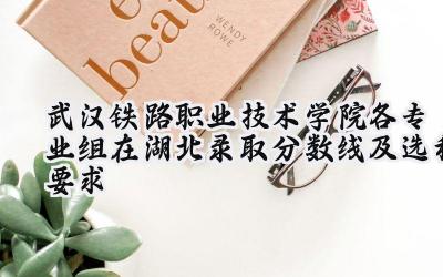 武汉铁路职业技术学院各专业组在湖北录取分数线及选科要求