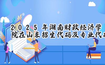 2025年湖南财政经济学院在山东招生代码及专业代码