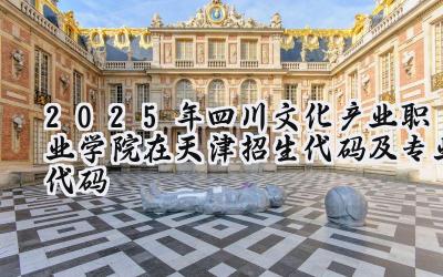2025年四川文化产业职业学院在天津招生代码及专业代码
