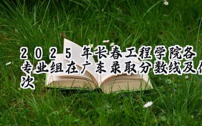 2025年长春工程学院各专业组在广东录取分数线及位次
