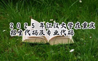 2025年江汉大学在重庆招生代码及专业代码