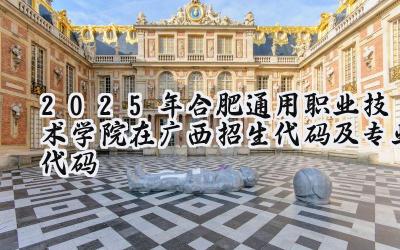2025年合肥通用职业技术学院在广西招生代码及专业代码